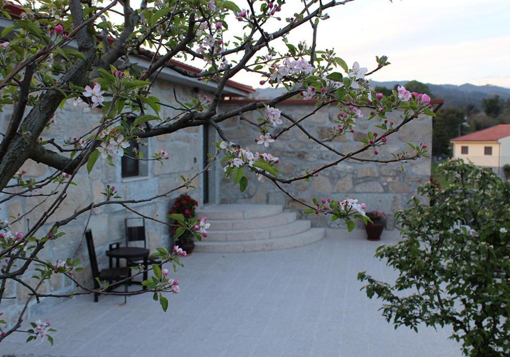 Vila Casa D'Amares Exteriér fotografie